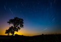 Star trail. Night landscape with a north hemisphere and stars Royalty Free Stock Photo