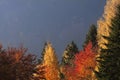 Vosges Forest in autumn, France