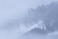 Vosges mountains in winter