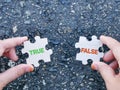 Hand holding jigsaw puzzle pieces written true and false with asphalt background. Selective focus. Royalty Free Stock Photo