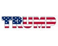Vote USA 2020 election day. The flag of the United States of America in the name of the future president