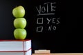 Vote yes or no Royalty Free Stock Photo