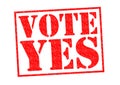 VOTE YES Royalty Free Stock Photo