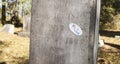 Voted sticker on a grave Royalty Free Stock Photo