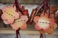 Votive tablets at Ikegami honmonji temple in Tokyo closeup