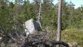Vottovaara Karelia - stone of rectangular shape