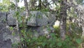Vottovaara Karelia - straight cut stone