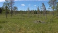 Vottovaara Karelia - swamp on the mountain
