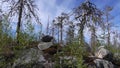 Vottovaara Karelia - ugly tree & stone sades