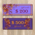 Voucher, Gift certificate, Coupon template for invitation, banner, ticket. Royalty Free Stock Photo