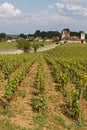 Vineyard of Clos de Vougeot