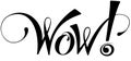 Wow! - custom calligraphy text