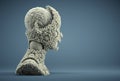 Voxel head profile. Complexity and development concept