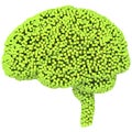 Voxel human brain. 3d render on isolated white