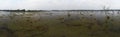 Lake with old trees sticking out of the water. 360 VR panorama drone shot. Cambodia near ancient Angkor Wat Temple Ruin Royalty Free Stock Photo