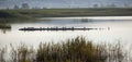 Vransko Lake Ornithological Reserve.