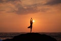 Vrikshasana tree pose from yoga Royalty Free Stock Photo