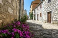 Vrsar - A little cobbled street with purple flowers