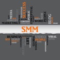 VSMM concept related words in tag cloud, vector Royalty Free Stock Photo