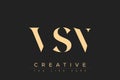 VSN abstract letter logo design Royalty Free Stock Photo