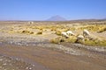 The vulcan El Misti, Peru