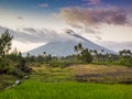 Vulcano Mount Mayon in the Philippines