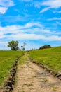 Vulci archaeological park, ancient Etruscan city