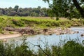 Vulci archaeological park, ancient Etruscan city