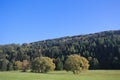 Vulkaneifel in Rhineland-Palatinate, Germany