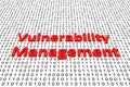 Vulnerability management