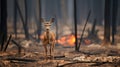 The vulnerability of wildlife is brought to the forefront as a deer navigates the fiery landscape