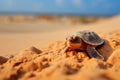 Vulnerable Little turtle sleeping. Generate Ai