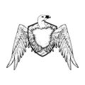 Vulture Logo Hand Drawn