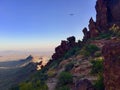 Vulture Circling Vulture Peak, Near Vulture Mine & Wickenberg, Arizona Royalty Free Stock Photo