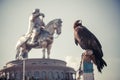 Vulture and Genghis Khan Monument Royalty Free Stock Photo
