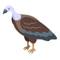 Vulture icon isometric vector. Evil bird