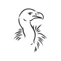 Vulture illustration, drawing, engraving ink, line art, vector Royalty Free Stock Photo