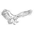 Vulture illustration, drawing, engraving, ink, line art, vector Royalty Free Stock Photo