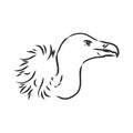 Vulture illustration, drawing, engraving, ink, line art, vector Royalty Free Stock Photo