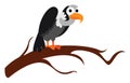 Vulture, illustration, vector Royalty Free Stock Photo