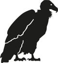 Vulture silhouette with details