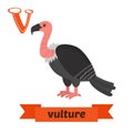 Vulture. V letter. Cute children animal alphabet in vector. Funny cartoon animals Royalty Free Stock Photo