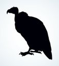 Vulture. Vector drawing icon sign Royalty Free Stock Photo