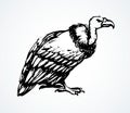 Vulture. Vector drawing icon sign Royalty Free Stock Photo