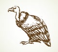 Vulture. Vector drawing icon sign Royalty Free Stock Photo