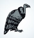 Vulture. Vector drawing icon sign Royalty Free Stock Photo