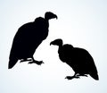 Vulture. Vector drawing icon sign Royalty Free Stock Photo