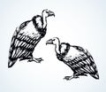 Vulture. Vector drawing icon sign Royalty Free Stock Photo