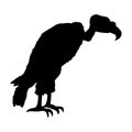 Vulture vector illustration black silhouette Royalty Free Stock Photo