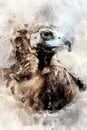 Vulture - watercolor illustration portrait